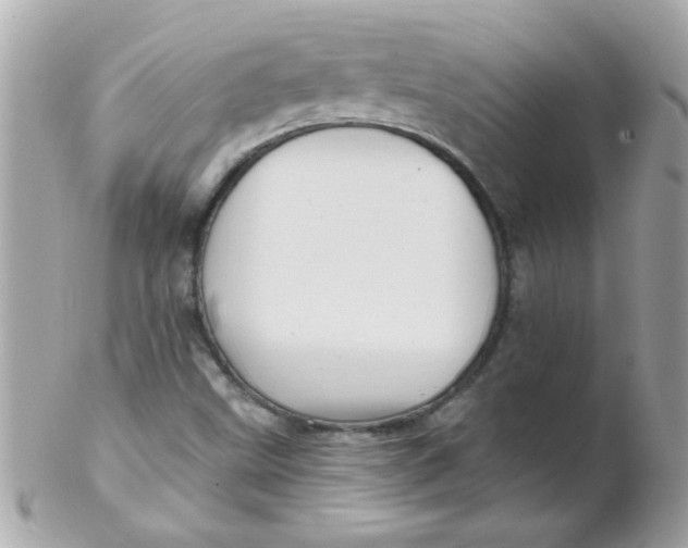 X0000102311499200808152029