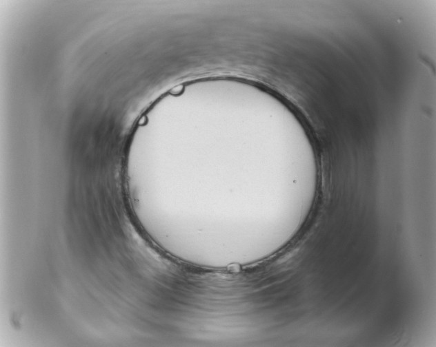 X0000102311500200808152029