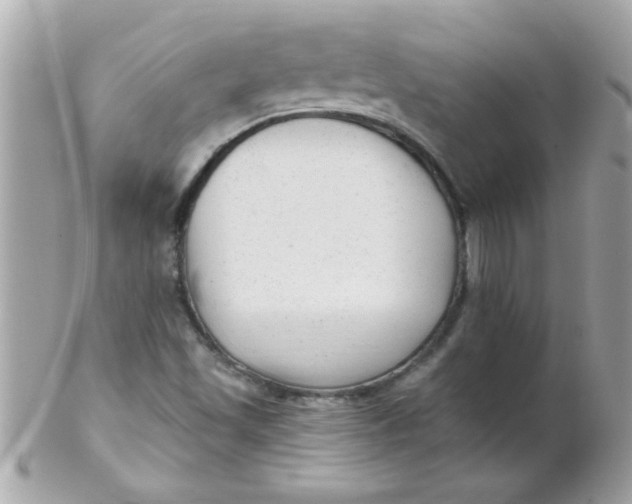 X0000102311501200808152029