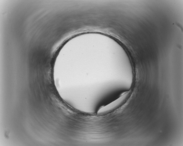 X0000102311502200808152029