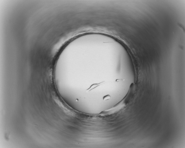 X0000102311503200808152029