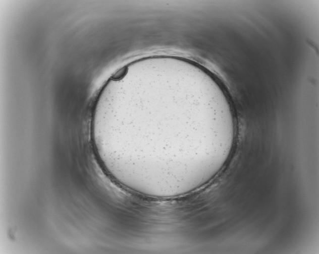 X0000102311504200808152029