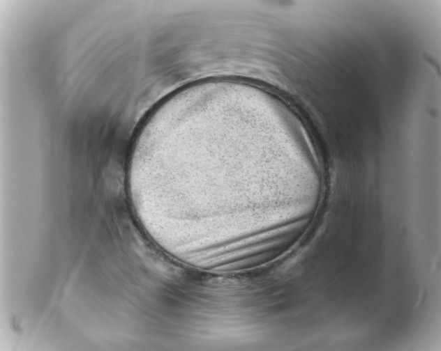 X0000102311505200808152029