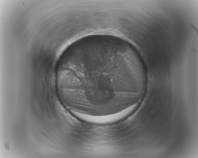X0000102311506200808152029