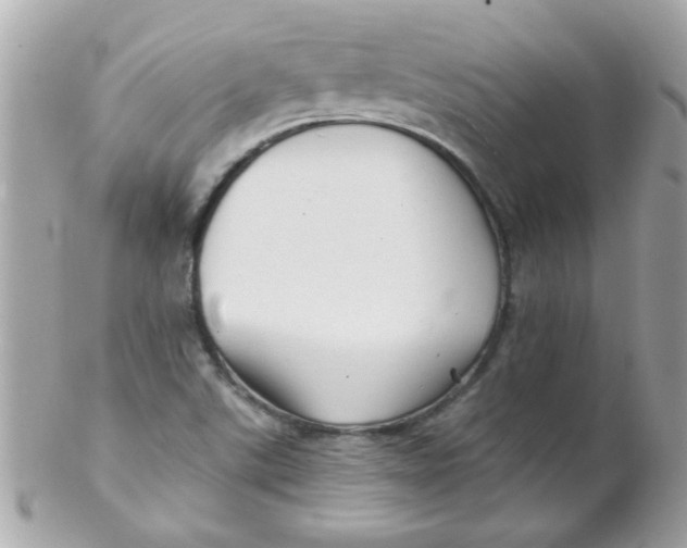 X0000102311507200808152029