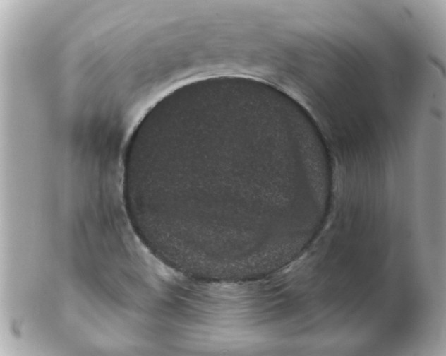 X0000102311508200808152029