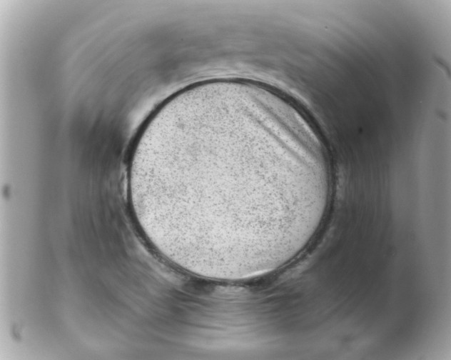 X0000102311509200808152029