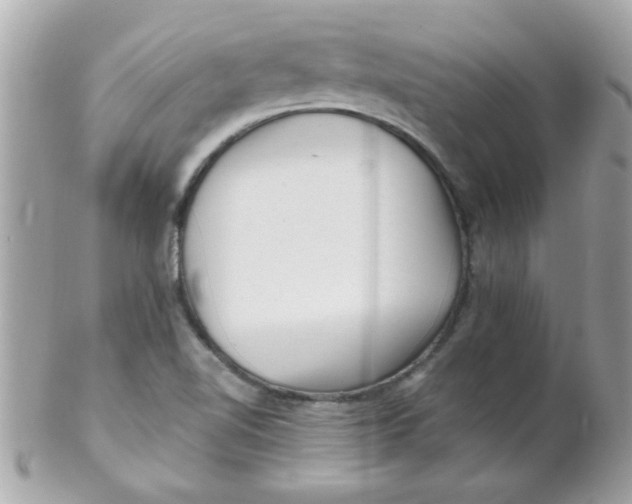 X0000102311510200808152029