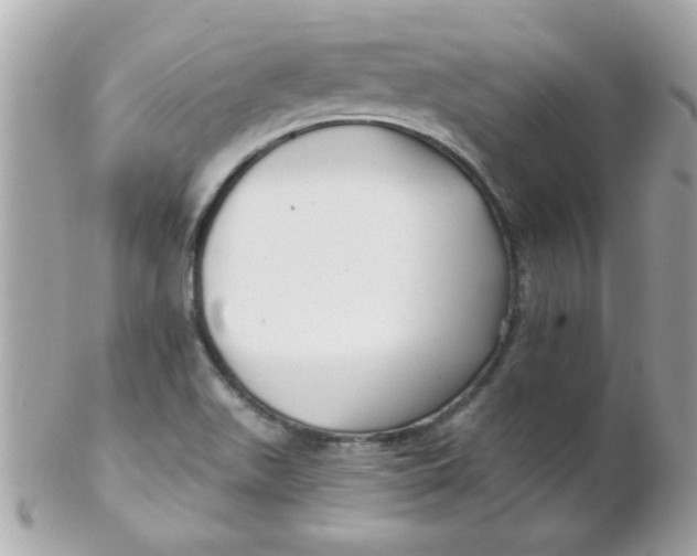 X0000102311511200808152029