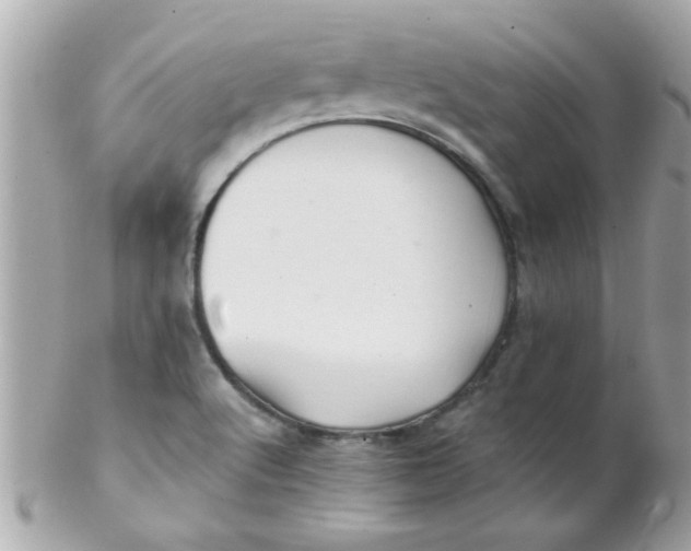 X0000102311512200808152029