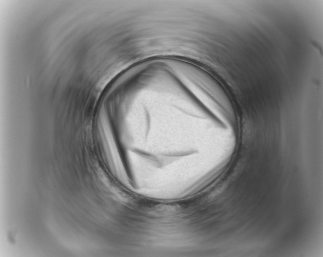 X0000102311513200808152029