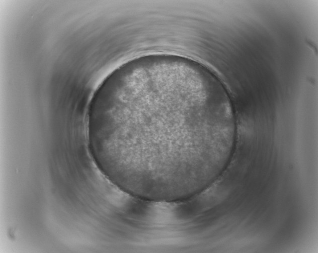 X0000102311514200808152029