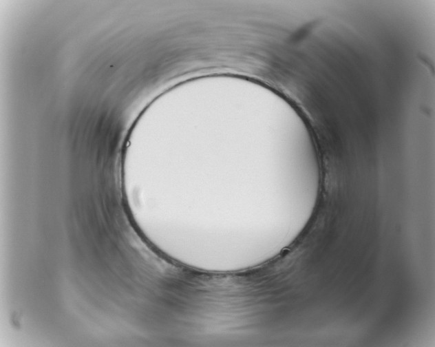 X0000102311516200808152029