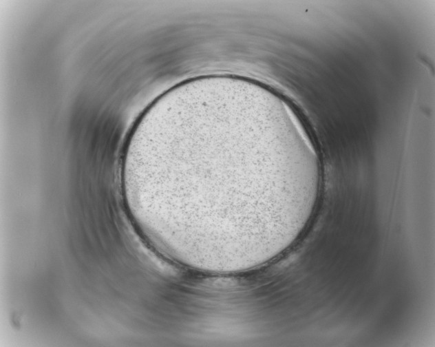 X0000102311517200808152029