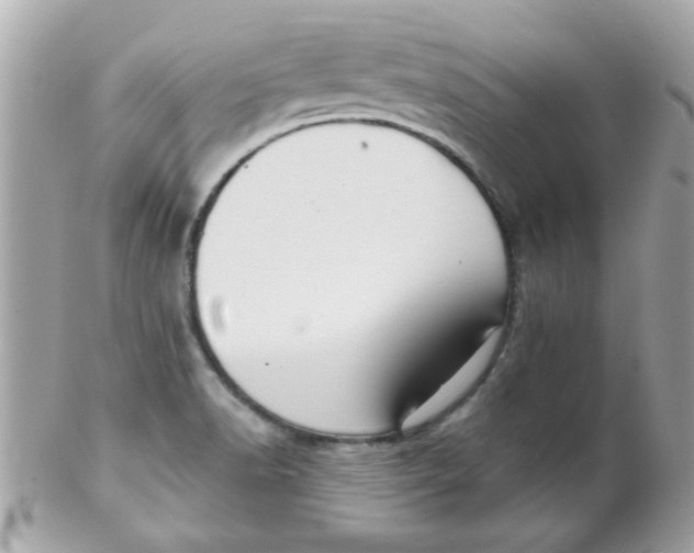 X0000102311518200808152029