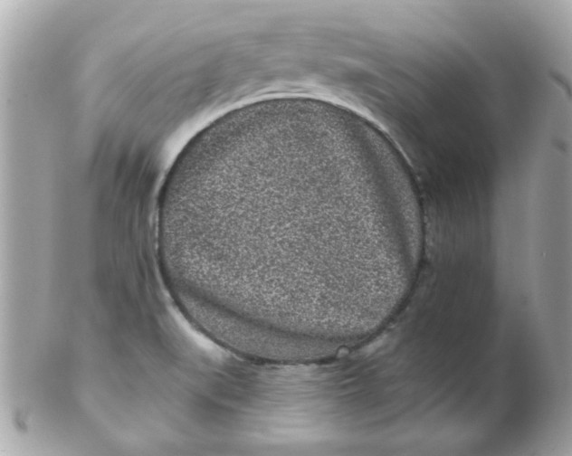 X0000102311519200808152029