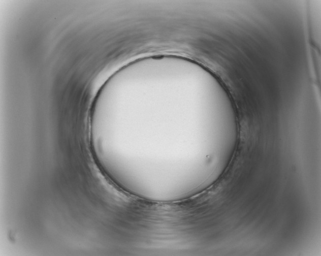 X0000102311520200808152029