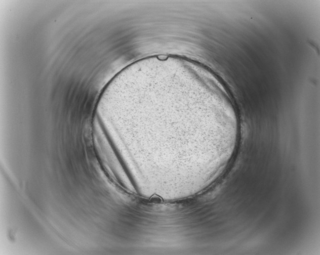 X0000102311521200808152029