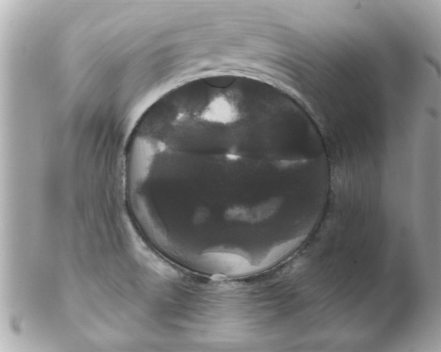 X0000102311522200808152029