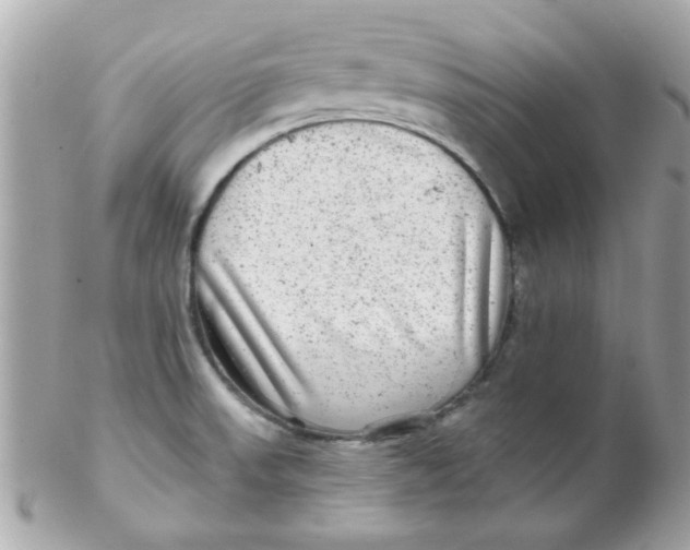 X0000102311523200808152029