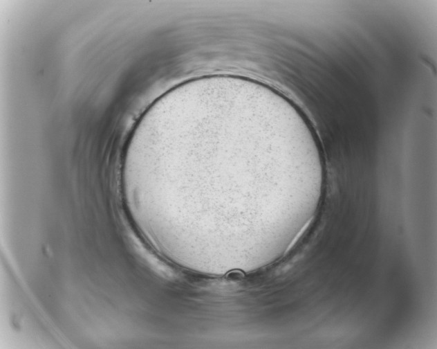 X0000102311525200808152029