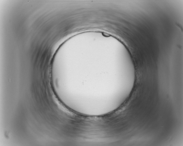 X0000102311526200808152029