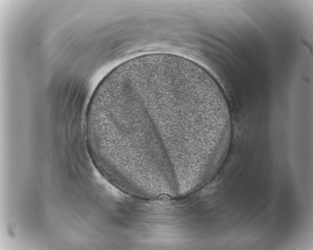 X0000102311527200808152029