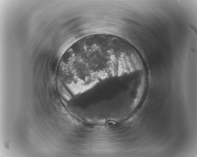 X0000102311529200808152029