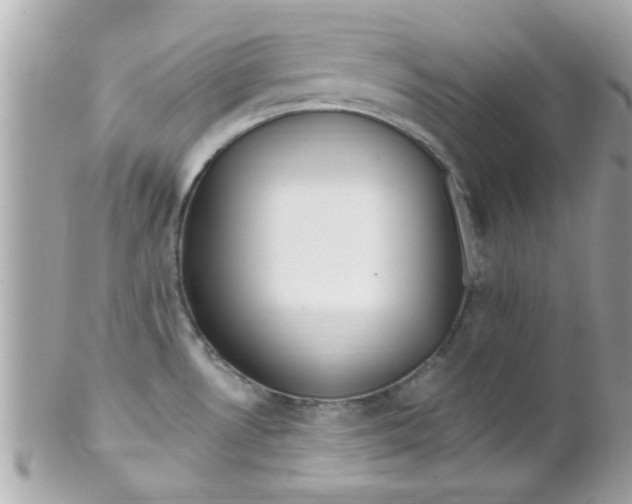 X0000102311530200808152029