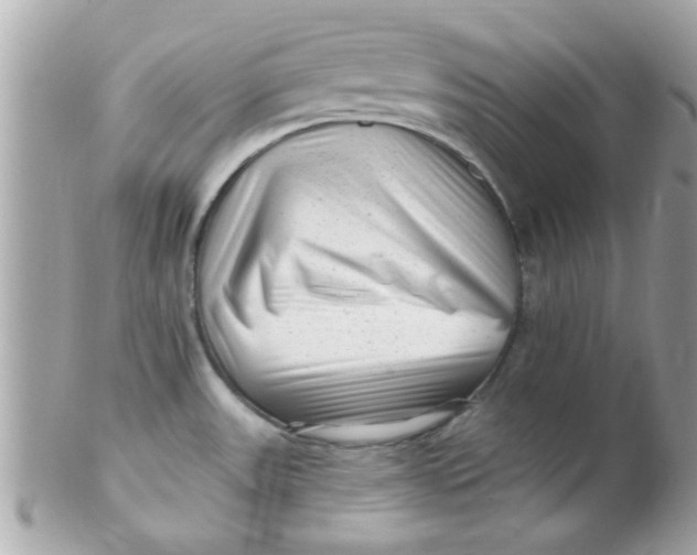 X0000102311531200808152029