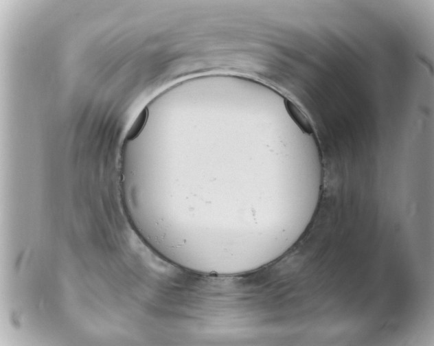 X0000102311532200808152029