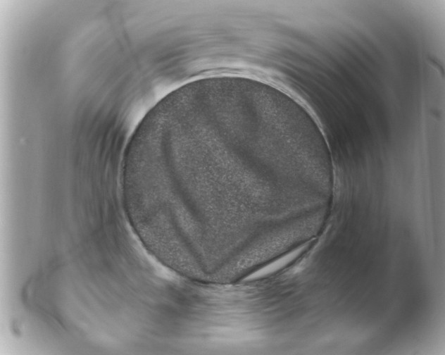 X0000102311533200808152029
