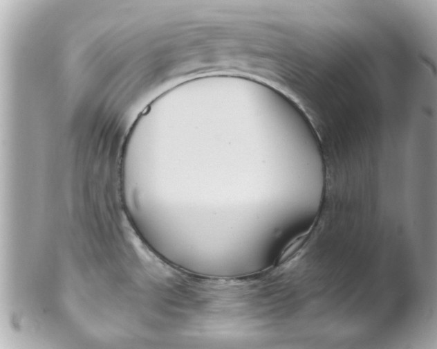 X0000102311534200808152029