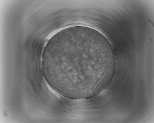 X0000102311535200808152029