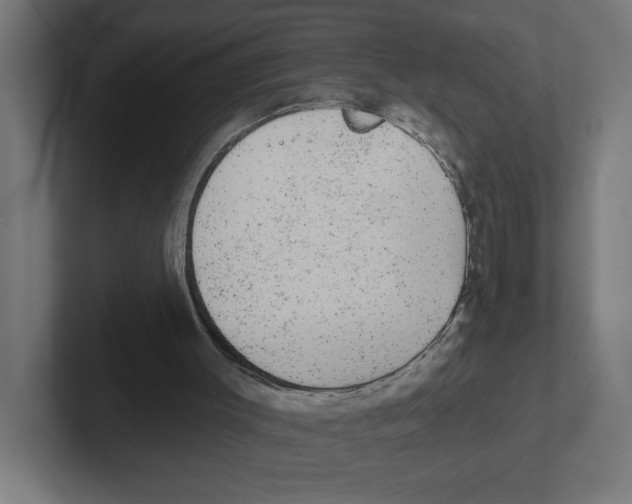 X0000102310003200808221456