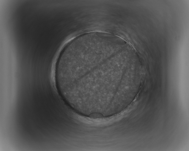 X0000102310006200808221455