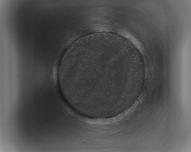 X0000102310009200808221455