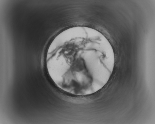 X0000102310012200808221455