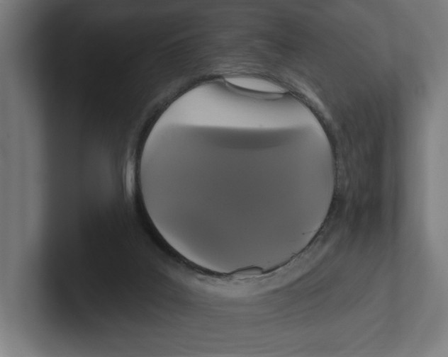 X0000102310019200808221455