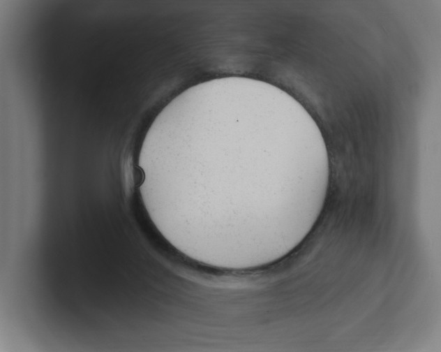 X0000102310020200808221455
