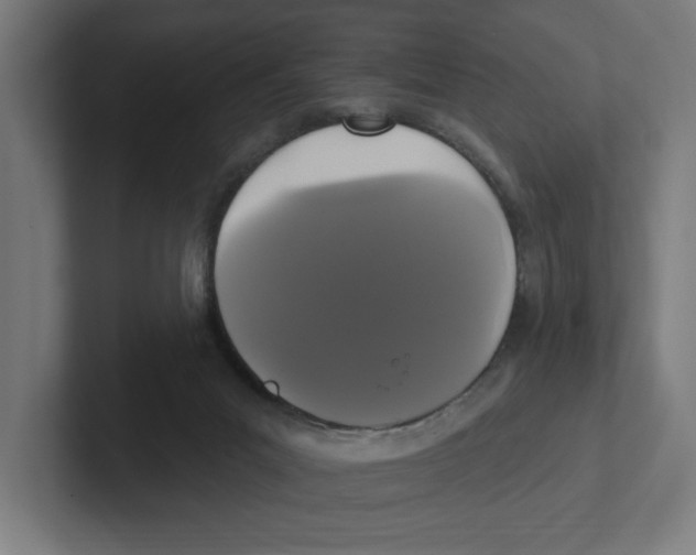 X0000102310023200808221455