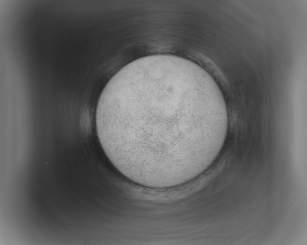 X0000102310026200808221455