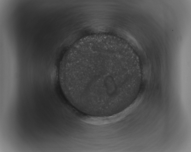 X0000102310029200808221455