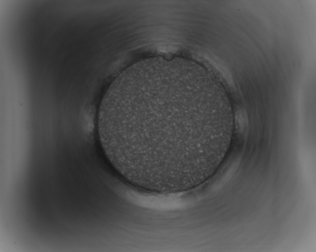 X0000102310032200808221455