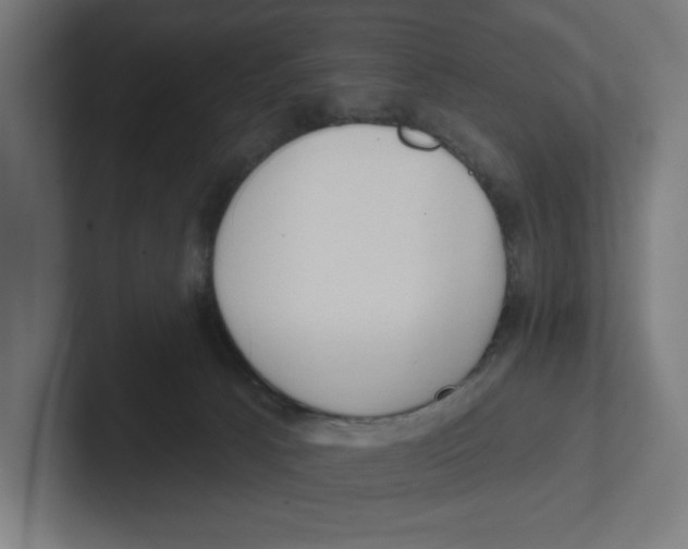 X0000102310033200808221455