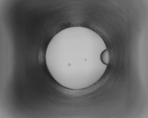 X0000102310038200808221455