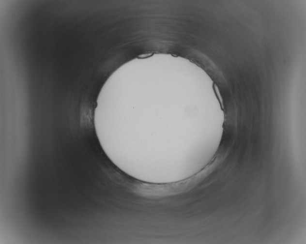 X0000102310045200808221455