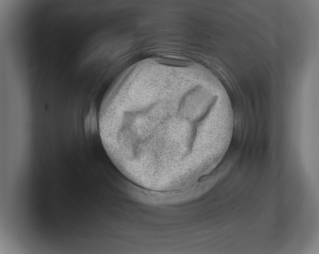 X0000102310046200808221455