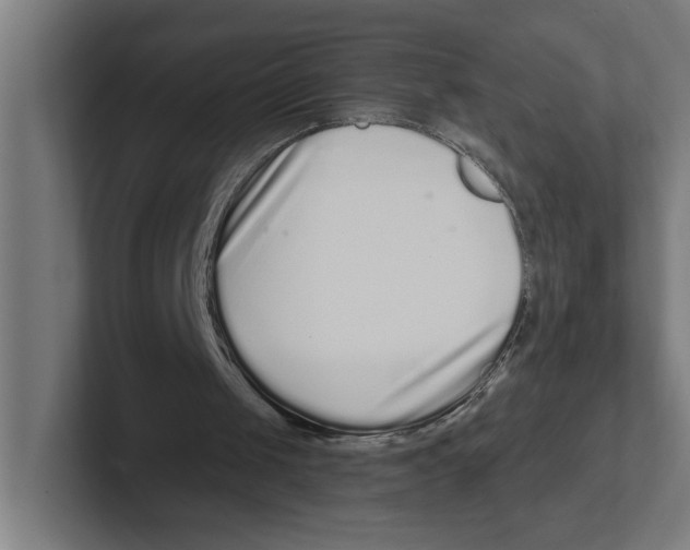X0000102310049200808221454