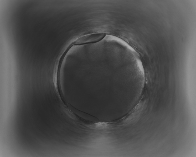 X0000102310052200808221454